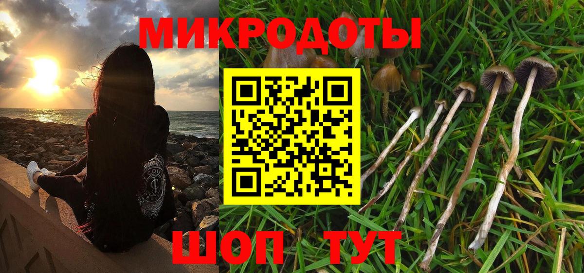 Псилоцибиновые грибы прущие грибы  Псилоцибиновые грибы ЛСД  Каменск-Уральский  Вход с VPN 